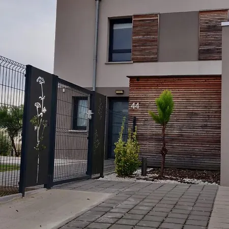 Sur La Route Des Vins - Maison Design - * Colmar