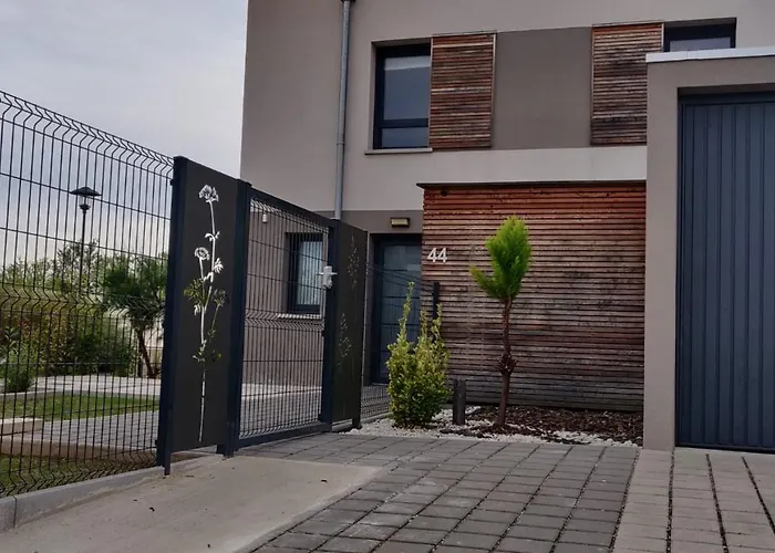 Sur La Route Des Vins - Maison Design - * Colmar